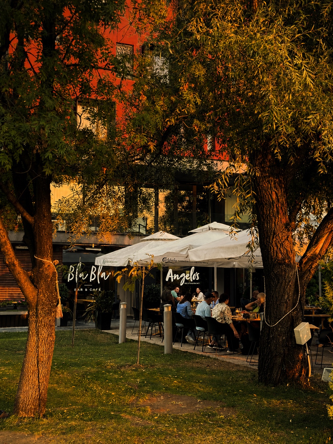 Градината и гостите на Angelo's